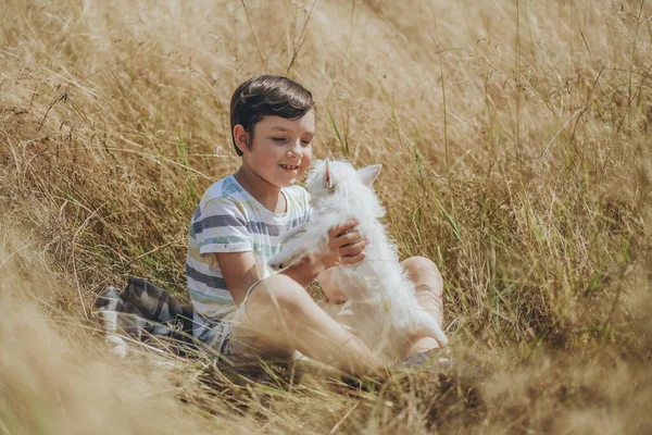 Niño Divierte Con Amado Cachorro Parque Verano Feliz Infancia Criar — Foto de Stock