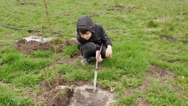 Jongen Helpt Zijn Grootvader Het Voorjaar Jonge Bomen Tuin Water — Stockvideo