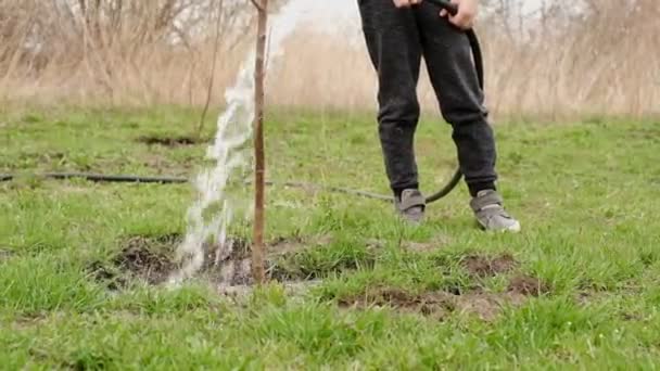 The boy helps his grandfather to water the young trees in the garden in spring. — 비디오