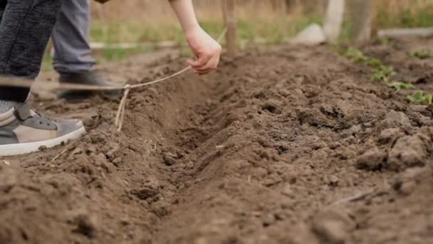 Oğlan, büyükannesinin baharda toprağa sebze tohumları ekmesine yardım eder.. — Stok video