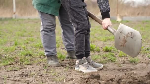Farfar undervisar sitt barnbarn i lantbruksarbete på fältet på våren. — Stockvideo
