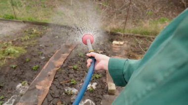 Bir çiftçi baharda bir hortumdan suyla çilek filizlerini sular..