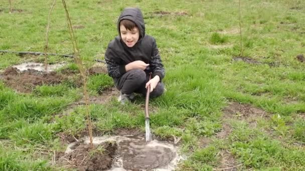 O menino ajuda seu avô a regar as árvores jovens no jardim na primavera. — Vídeo de Stock