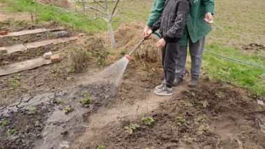 Torun, büyükannenin baharda bahçede çalışmasına yardım eder. Bir çocuk büyükannesinin bahçeyi sulamasına yardım eder..