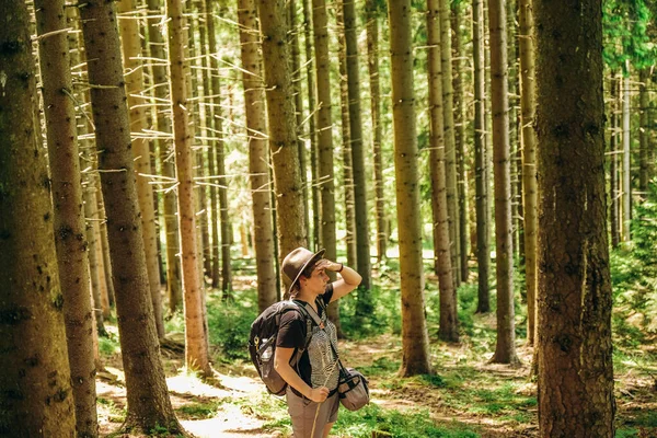夏天的山之行 一个女人夏天在森林里散步 在山上远足 夏季的积极假日 — 图库照片