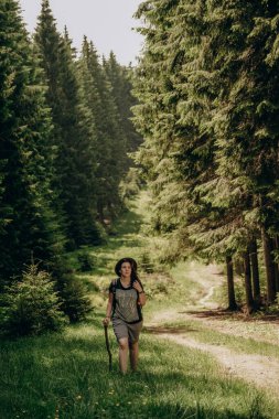 Dağlara yaz gezisi. Yazın ormanda bir kadın yürür. Dağlarda yürüyüş. Yazın aktif tatil.