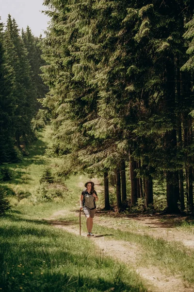 Καλοκαιρινό ταξίδι στα βουνά. Μια γυναίκα περπατάει στο δάσος το καλοκαίρι. Πεζοπορία στα βουνά. Ενεργές διακοπές το καλοκαίρι. — Φωτογραφία Αρχείου