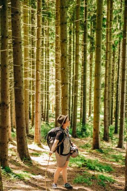 Dağlara yaz gezisi. Yazın ormanda bir kadın yürür. Dağlarda yürüyüş. Yazın aktif tatil.