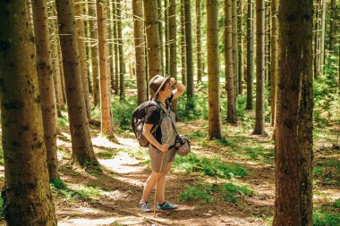 Dağlara yaz gezisi. Yazın ormanda bir kadın yürür. Dağlarda yürüyüş. Yazın aktif tatil.