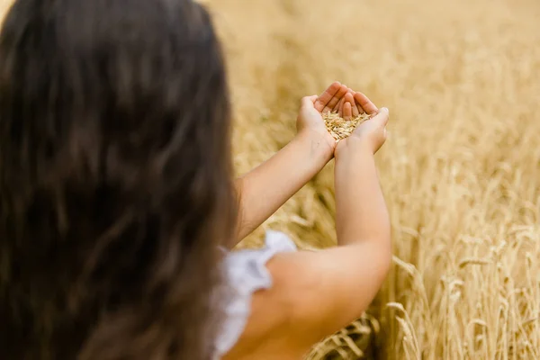 Crisis Alimentaria Mundial Déficit Grano Los Mercados Mundiales Una Niña —  Fotos de Stock