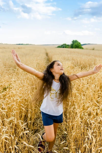 시장에서 곡물의 부족입니다 소녀는 하늘을 들었다 여름에 밀밭을 걸으려면 — 스톡 사진