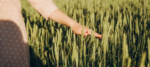 Мировой Продовольственный Кризис Дефицит Зерна Мировых Рынках Прогулка Пшеничному Полю — стоковое фото