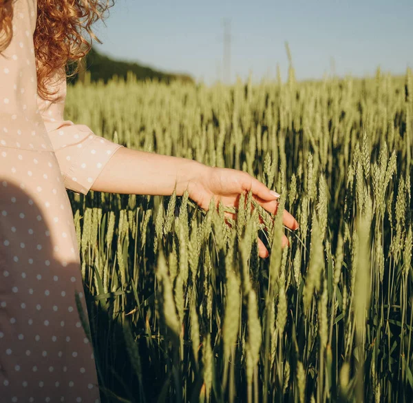 World food crisis. Deficit of grain in the world markets. Walk in wheat field in summer. A woman runs her hand over the ears of wheat in the field.