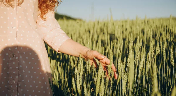 世界粮食危机 粮食在世界市场上的赤字 夏天走在麦田里 一个女人在田里用手捂住麦穗 — 图库照片