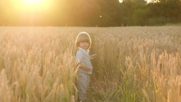 Kid Walks Wheat Field Summer Sunset World Grain Crisis — стоковое видео
