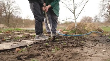 Grandmother teaches her grandson to work in the garden, grow strawberries. A grandson helps his grandmother take care of the plants in the garden in the spring. Organic food for our children.