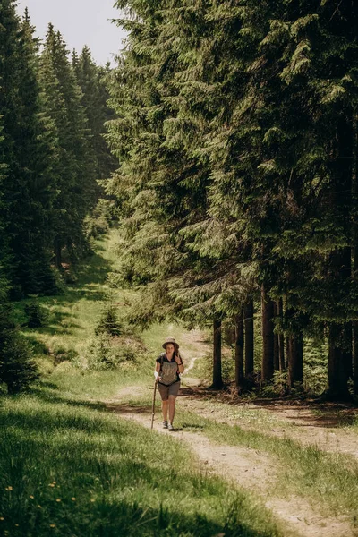 Summer trip to the mountains. A woman walks in the forest in summer. Hiking in the mountains. Active holiday in summer. Walk along the forest road.
