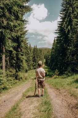 The boy travels in the mountains in summer. Active holidays with children in the summer in the mountains. Beautiful forest landscape.