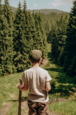 The boy travels in the mountains in summer. Active holidays with children in the summer in the mountains. Beautiful forest landscape.