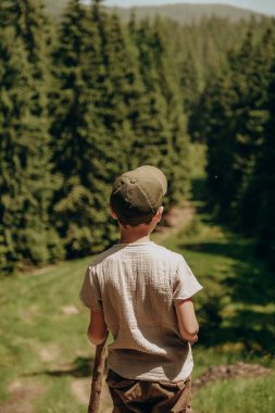 The boy travels in the mountains in summer. Active holidays with children in the summer in the mountains. Beautiful forest landscape.