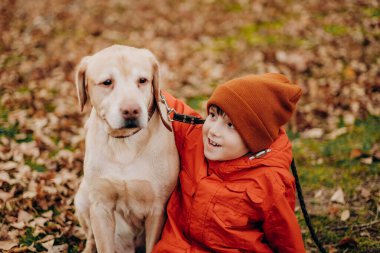 Köpeği olan bir çocuğun arkadaşlığı. Hayvanlara ve hümanizme karşı sevgiyle çocuk yetiştirmek. Bir çocuk sonbaharda parkta yürürken labrador av köpeğini kucaklıyor..