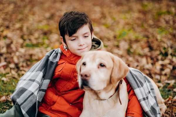 Love to the animals. Raising children to be kind. A boy walks with his labrador retriever in the park in autumn. The child covered himself and his dog with a blanket in the park in the fall.