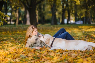 Güzel bir sarışın sarı yapraklar bir parkta yatıyor ve onun labrador ile çalış.