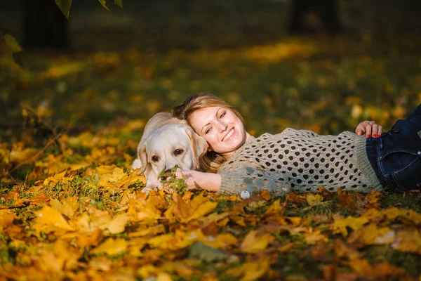 Güzel bir sarışın sarı yapraklar bir parkta yatıyor ve onun labrador ile çalış.