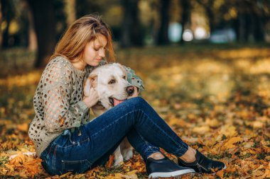 A young blonde woman is playing in the autumn park with her labrador. Evening walk with a labrador. Love for pets.