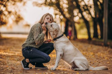 A young blonde woman is playing in the autumn park with her labrador. Evening walk with a labrador. Love for pets.