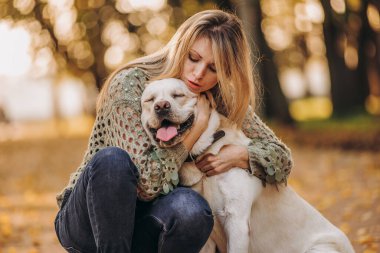 A young blonde woman is playing in the autumn park with her labrador. Evening walk with a labrador. Love for pets.