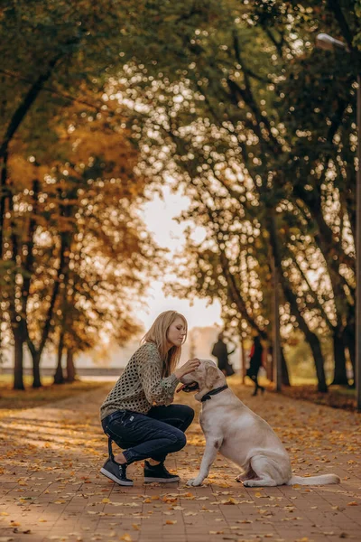 Young Blonde Woman Playing Autumn Park Her Labrador Evening Walk — Zdjęcie stockowe