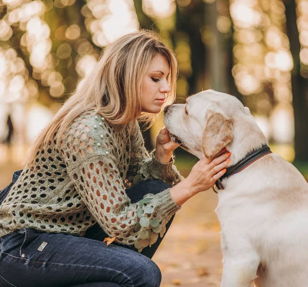 A young blonde woman is playing in the autumn park with her labrador. Evening walk with a labrador. Love for pets.