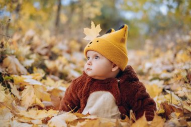 The kid sits in yellow leaves in the park for a walk. Family autumn walk in the evening in the park with children. Happy motherhood.