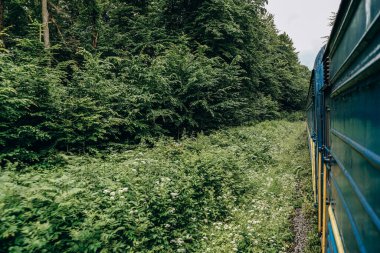 Yazın trenle dağlara seyahat et. Tren penceresinden manzara çok güzel. Yaz tatili dağlarda.
