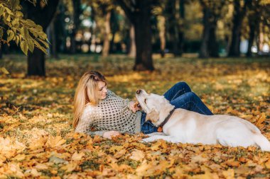 A young blonde woman is playing in the autumn park with her labrador. Evening walk with a labrador. Love for pets.