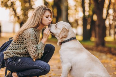 A young blonde woman is playing in the autumn park with her labrador. Evening walk with a labrador. Love for pets.