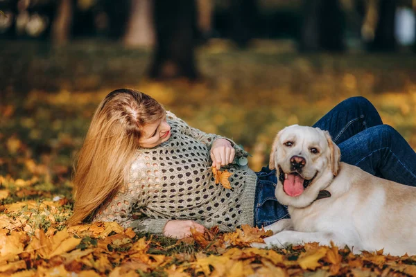 Young Blonde Woman Playing Autumn Park Her Labrador Evening Walk — Stockfoto