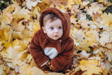 The kid sits in yellow leaves in the park for a walk. Family autumn walk in the evening in the park with children. Happy motherhood.