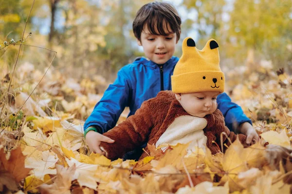 Two Children Sitting Yellow Leaves Park Walk Family Autumn Walk — Fotografia de Stock