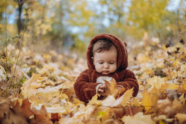 Kid Sits Yellow Leaves Park Walk Family Autumn Walk Evening — Stok fotoğraf