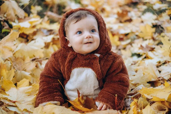 Kid Sits Yellow Leaves Park Walk Family Autumn Walk Evening — Fotografia de Stock