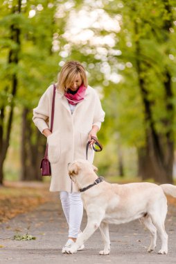 Bir kadın onun Labrador ile sonbaharda parkta yürüyor.