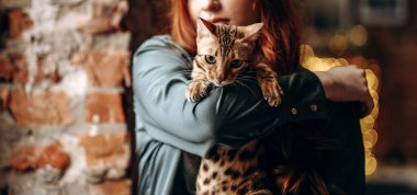 Genç kızıl saçlı bir kız pencerede oturur ve bir Bengal kedisi tutar. Pencerenin yanında sevgili bir kediyle sıcak bir sonbahar. Safkan Bengal kedisi..