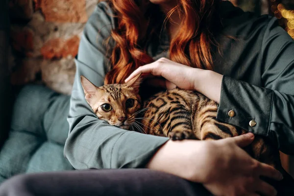 Young Red Haired Girl Sits Window Holds Bengal Cat Cozy — Stock Photo, Image
