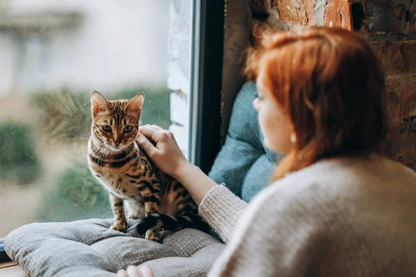 Uma Jovem Ruiva Senta Janela Segura Gato Bengala Outono Acolhedor — Fotografia de Stock