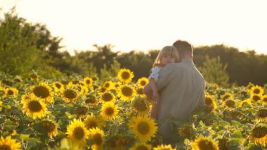 A young father plays with his little child on a walk in a field of sunflowers. Deficit of sunflower oil in the world. Family walk in the countryside in summer at sunset.