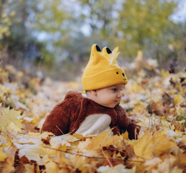 The kid sits in yellow leaves in the park for a walk. Family autumn walk in the evening in the park with children. Happy motherhood.