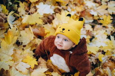 The kid sits in yellow leaves in the park for a walk. Family autumn walk in the evening in the park with children. Happy motherhood.
