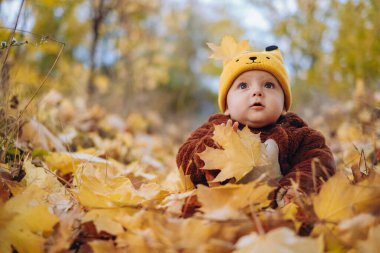 The kid sits in yellow leaves in the park for a walk. Family autumn walk in the evening in the park with children. Happy motherhood.